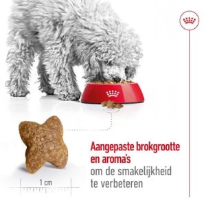 Royal Canin Mini Adult - Afbeelding 5