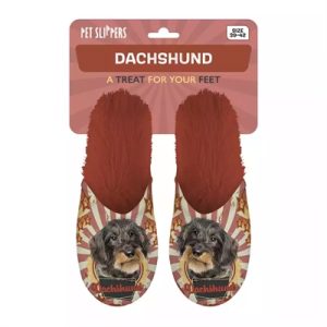 Merkloos Pantoffel Dachshund Teckel Oranje - Afbeelding 2