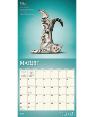 Merkloos Kalender Yoga Cats 2025 - Afbeelding 2