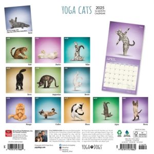 Merkloos Kalender Yoga Cats 2025 - Afbeelding 3