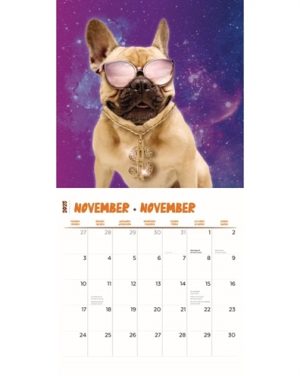 Merkloos Kalender Crazy Dogs 2025 - Afbeelding 2