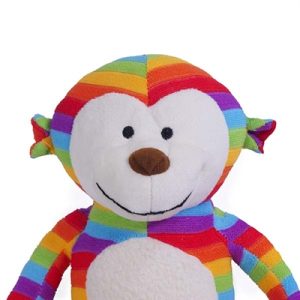 Rosewood Sonny Aap Regenboog - Afbeelding 3