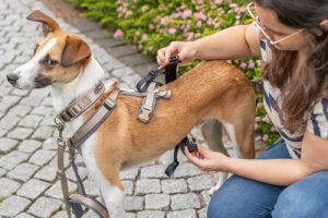 Trixie Paniekadapter Stay Voor Tuigen Zwart - Afbeelding 8