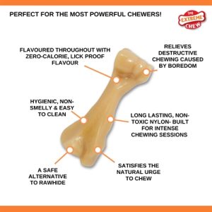 Nylabone Power Chew Harde Bijters Kipsmaak - Afbeelding 2