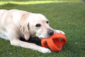 Happy Pet Grubber Interactieve Voetbal Oranje - Afbeelding 2