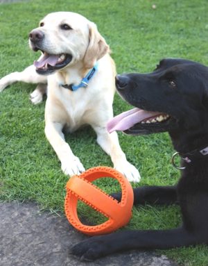 Happy Pet Grubber Interactieve Voetbal Oranje - Afbeelding 3