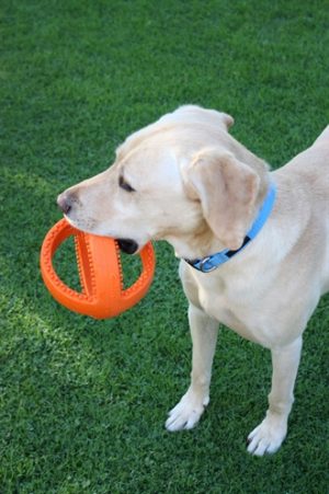 Happy Pet Grubber Interactieve Voetbal Oranje - Afbeelding 4