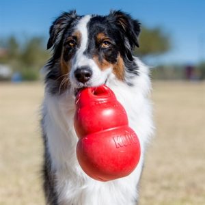 Kong Bounzer Rood - Afbeelding 3