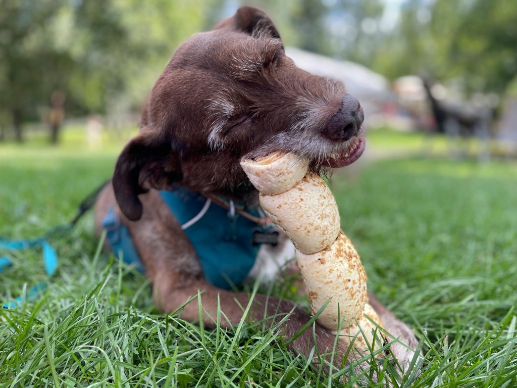 Kauwbotten voor de hond